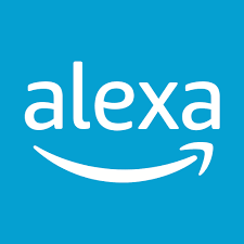 Alexa ECHO DOT 5a Gen negra más foco Wi-Fi (ECHO DOT 5