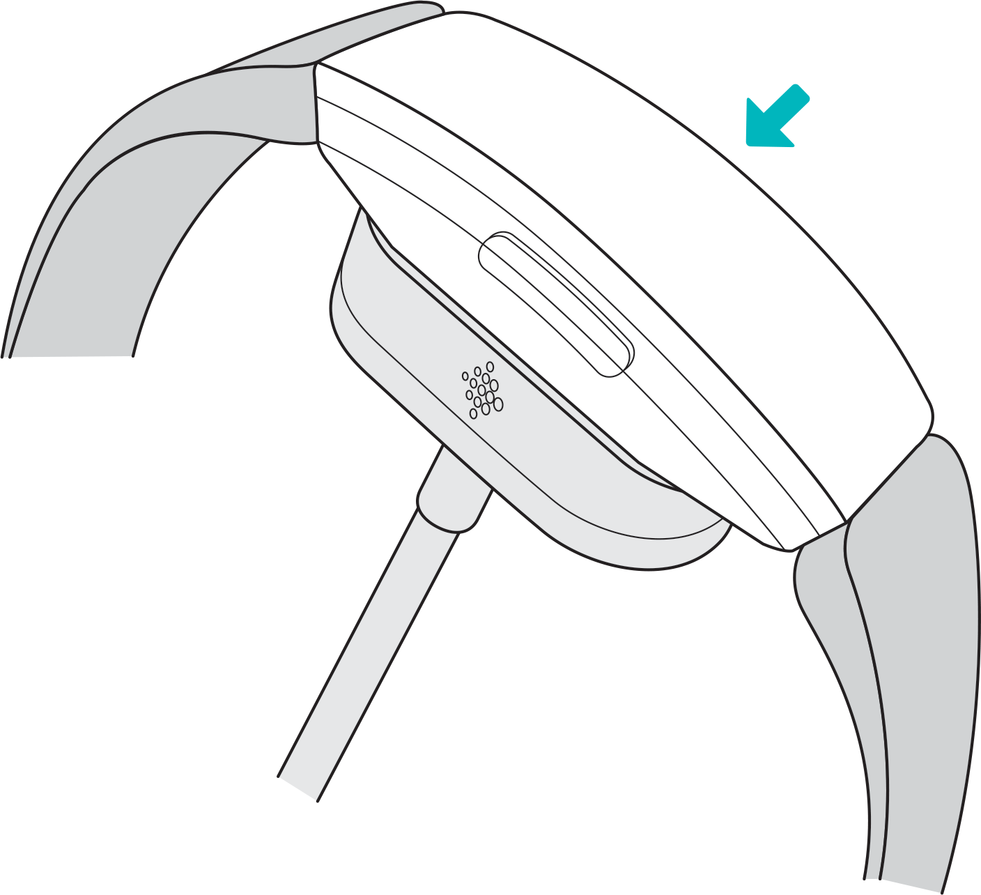 如何为Fitbit 设备充电？ - Fitbit帮助