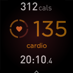 Workout in progress where the heart rate is the cardio zone