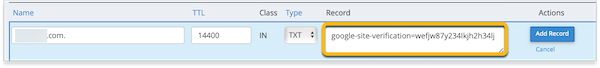 The Google verification code is highlighted in a new TXT record