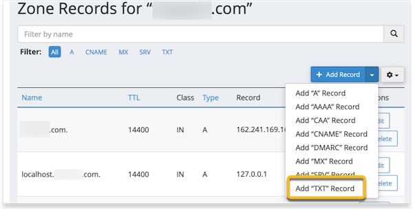The add TXT record is option is highlighted