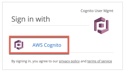 Option to sign in with AWS Cognito