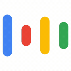 Google Icon
