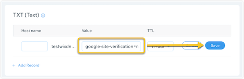 The fields for the TXT verification record are completed.
