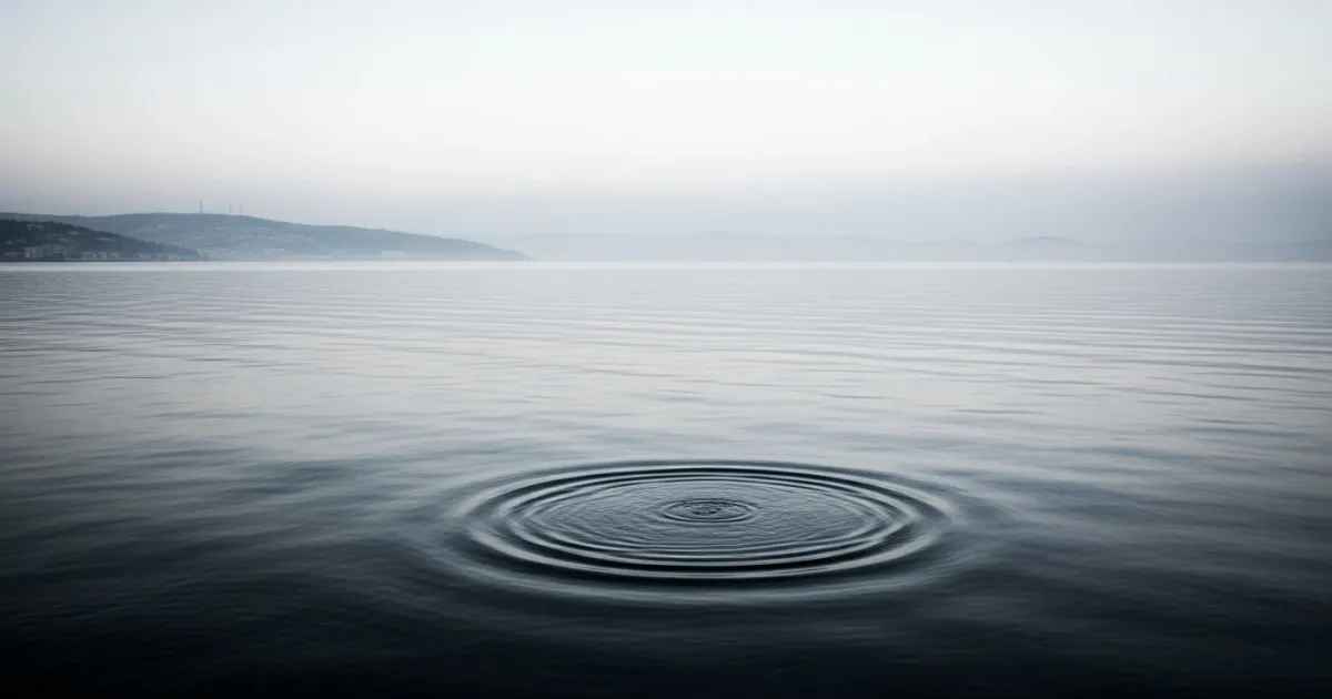Minor Earthquake Recorded in Sea of Marmara Near Bursa