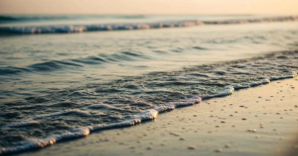 Health Officials Issue Warnings Over Vibrio Bacteria Risks Along Gulf Coast