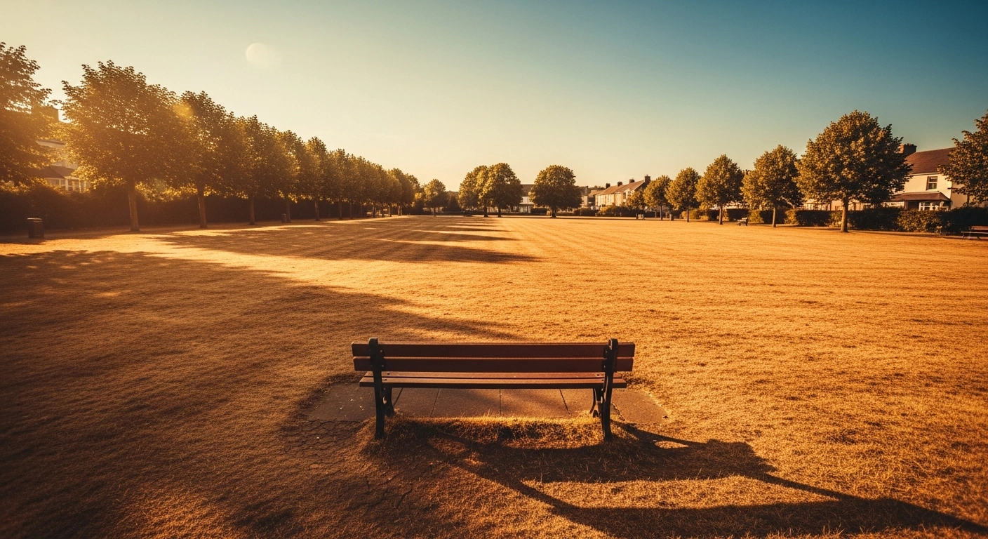 A sun-scorched Irish park landscape under a clear blue sky during a nationwide high-temperature warning.