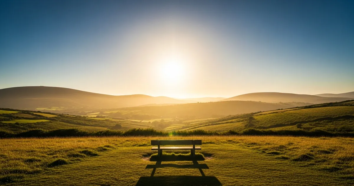Met Éireann Issues High Temperature Warning as Heatwave Hits Ireland