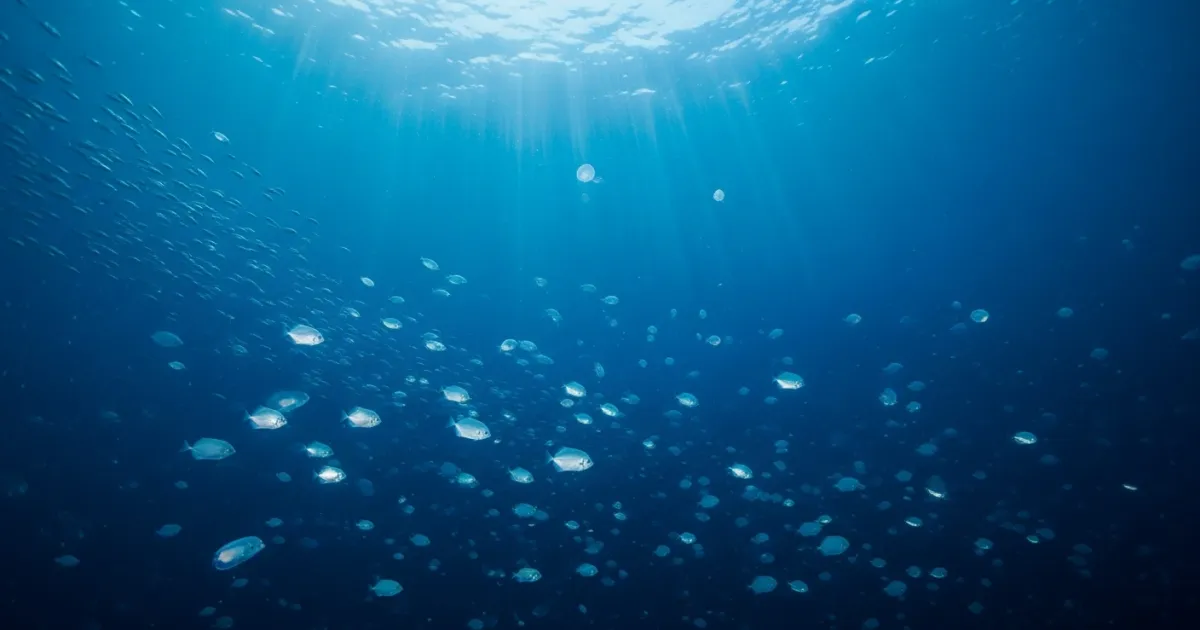 Panama and Fiji Launch Global Initiative to Protect Ocean 'Twilight Zone'