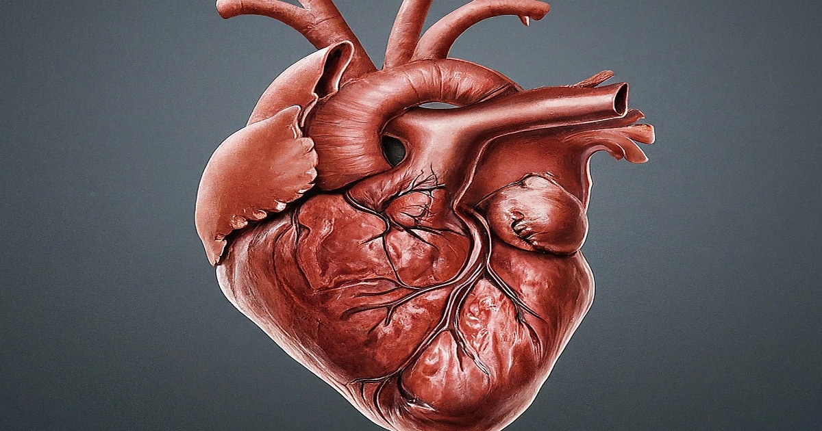Main image to the post Tianjin Health Commission Introduces Fee Standards for Donated Human Organs