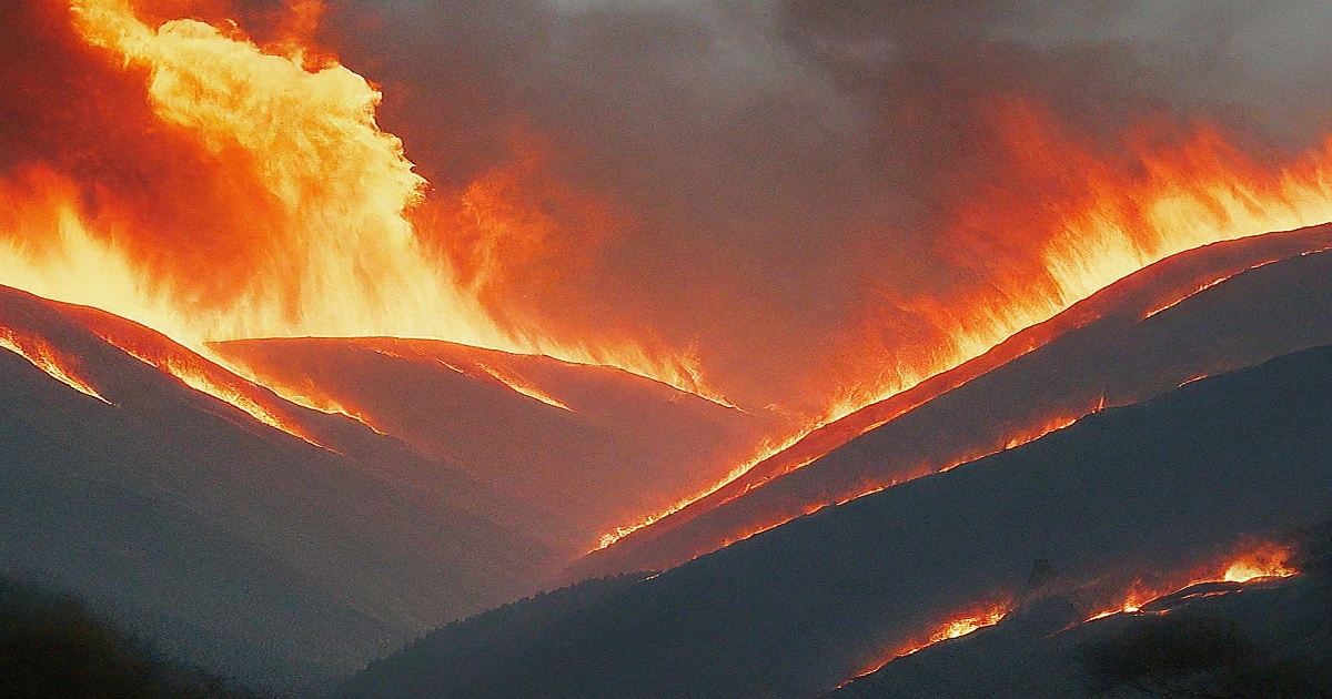 Main image to the post FEMA Administrator Discusses Los Angeles Wildfire Preparedness and Recovery Efforts