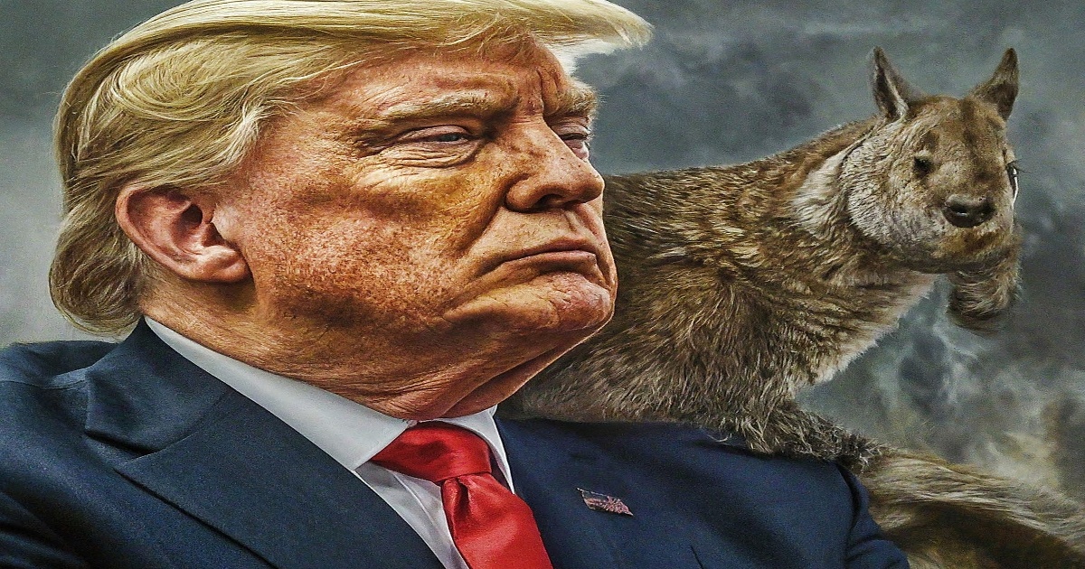Main image to the post A Question of Judicial Activism and Republican Oversight