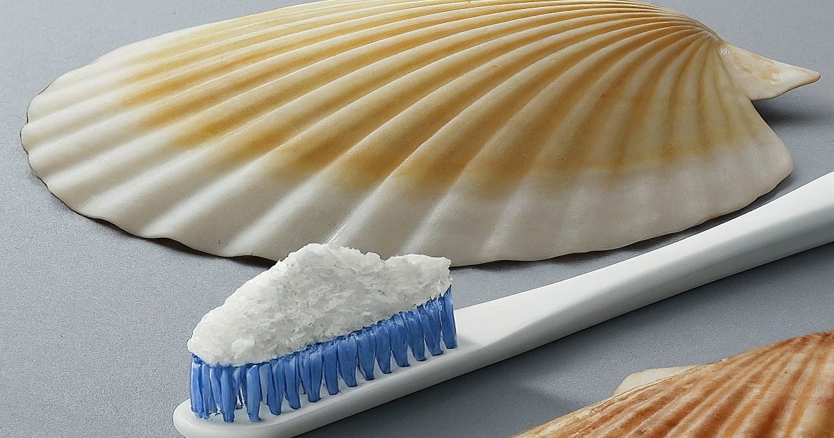 Main image to the post Hirosaki Student Develops Innovative Toothbrush Using Scallop Shell Powder