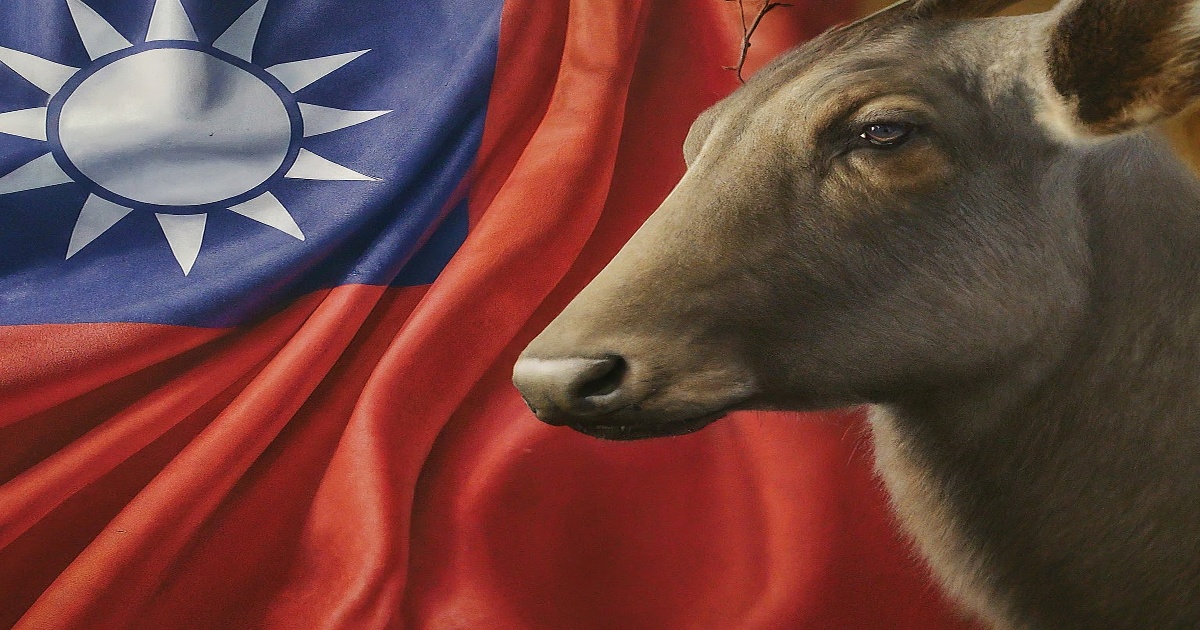 Main image to the post China Warns Germany Against Official Interactions with Taiwan