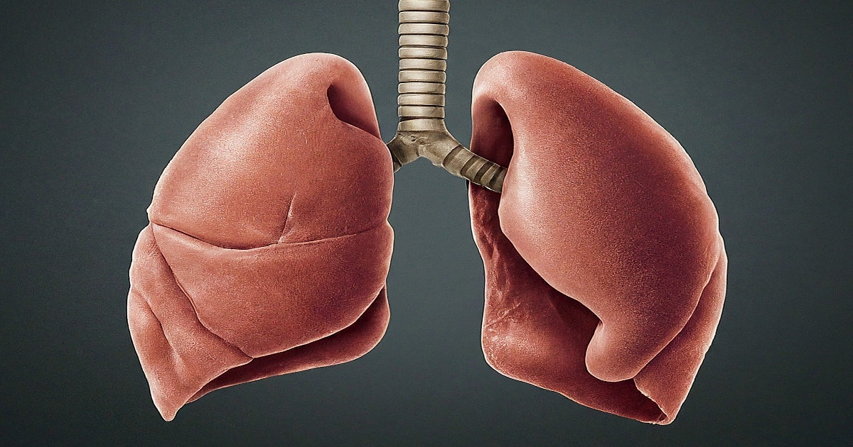 Main image to the post Survey Reveals Preventable Respiratory Problems and Hospital Admissions