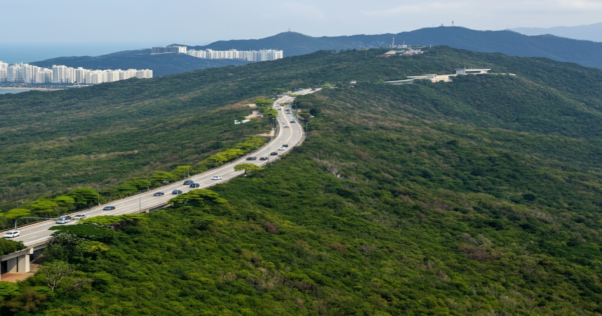China Activates Emergency Response as Typhoon Kajiki Approaches Hainan