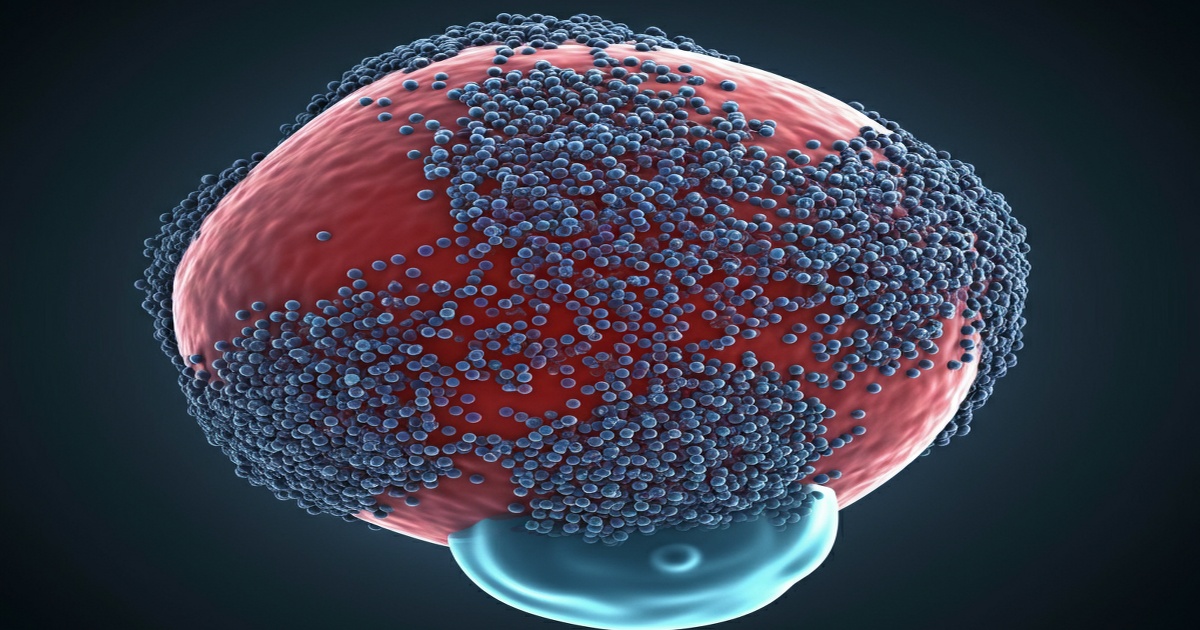 Main image to the post MIF Identified as Key Driver of Irreversible Fat Loss in Cancer Cachexia