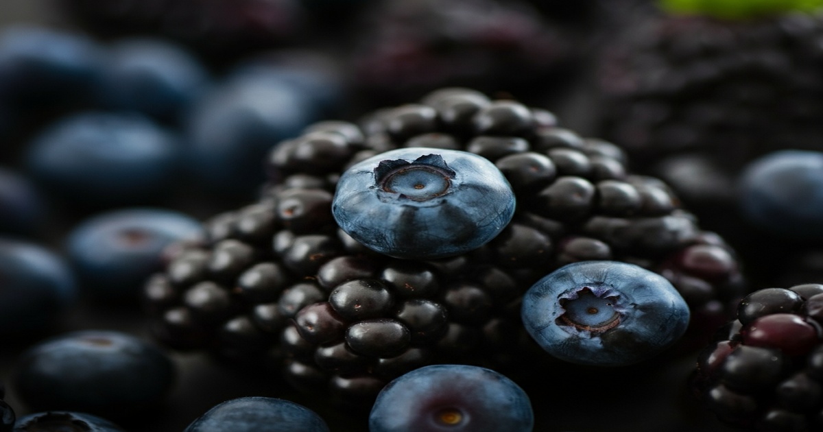 Main image to the post Blueberry Recall Escalated Amidst Rising Listeria Concerns