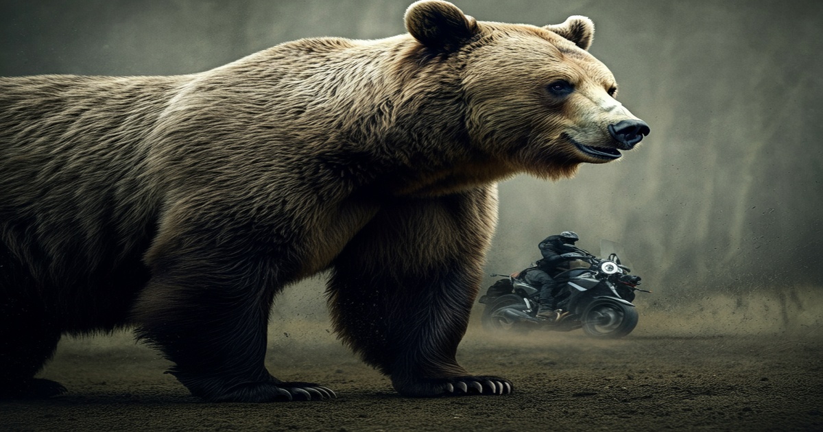Main image to the post Motorcyclist Killed in Romanian Bear Attack Amidst Growing Concerns