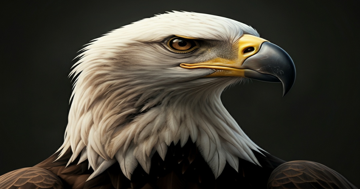 Main image to the post Mystery Surrounds Missing Eaglet in Big Bear Bald Eagle Nest