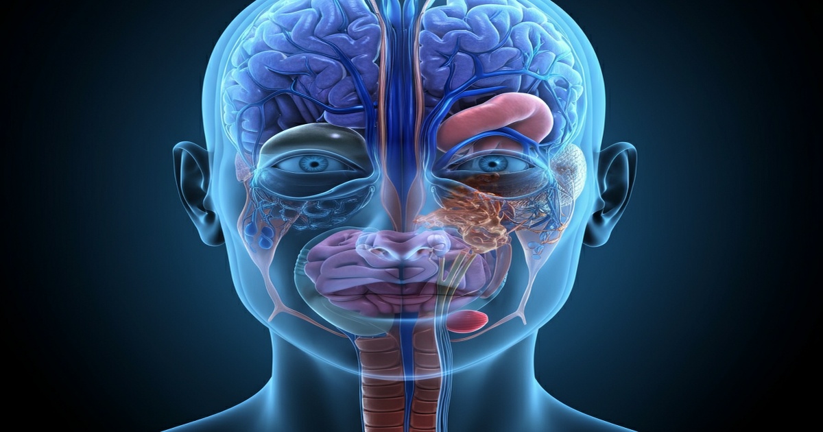 Main image to the post A Novel Mechanism for Recurrent Flare-ups in Chronic Rhinosinusitis