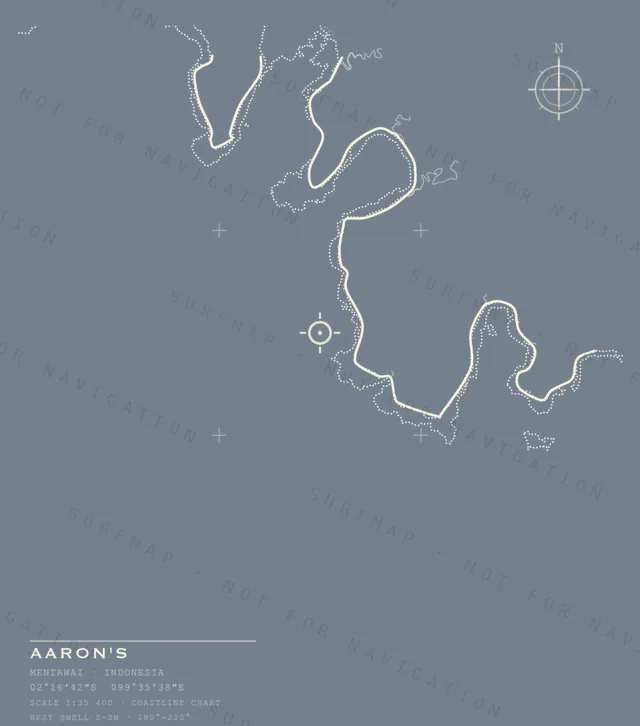 Aaron's chart, the full artwork printed on the back