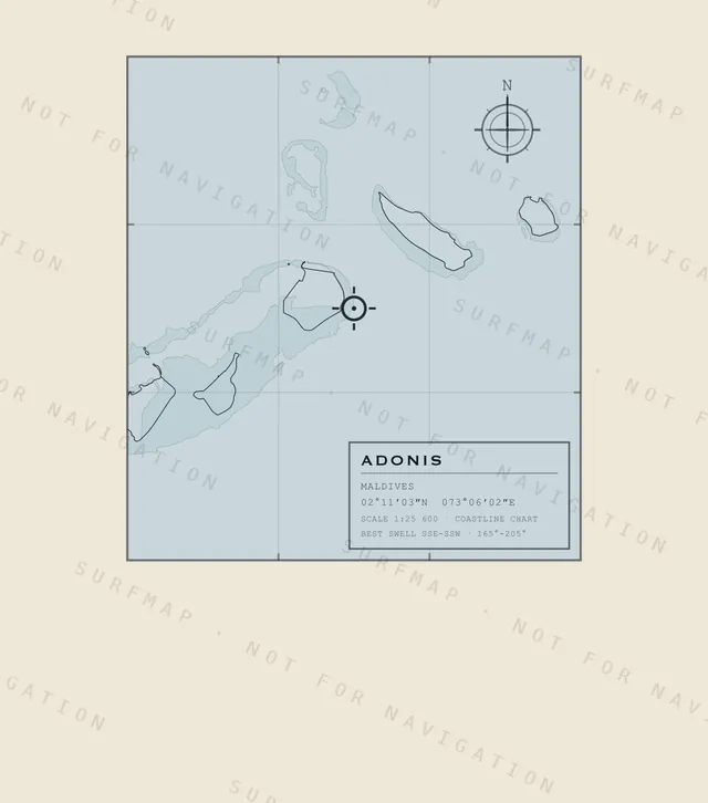 Adonis chart, the full artwork printed on the back