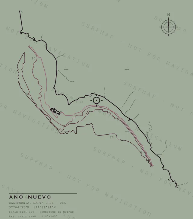 Ano Nuevo chart, the full artwork printed on the back