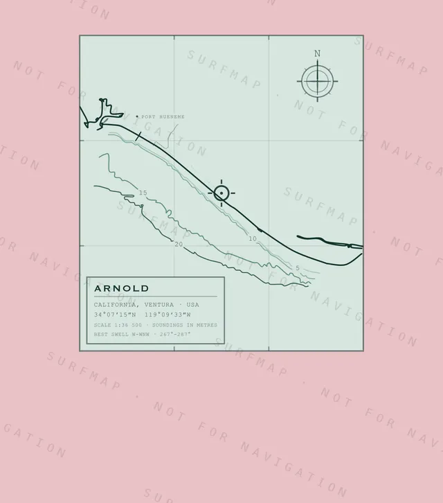 Arnold chart, the full artwork printed on the back