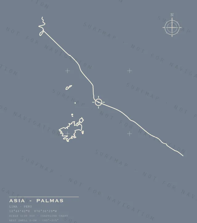 Asia - Palmas chart, the full artwork printed on the back
