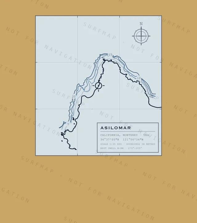 Asilomar chart, the full artwork printed on the back