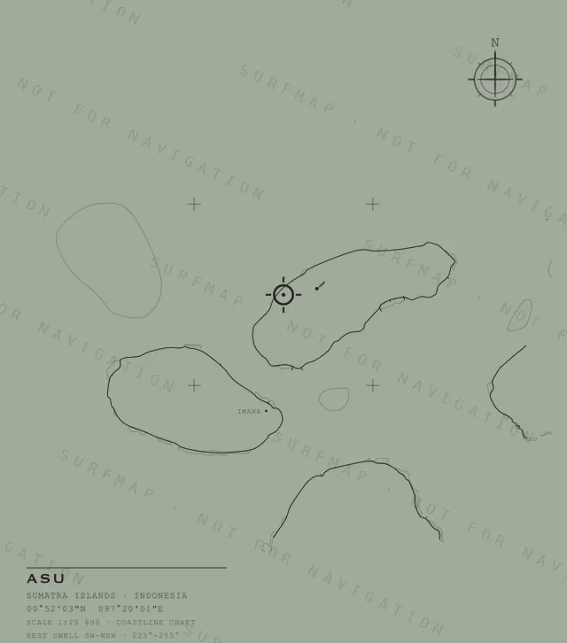 Asu chart, the full artwork printed on the back