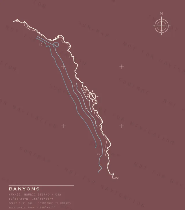 Banyons chart, the full artwork printed on the back