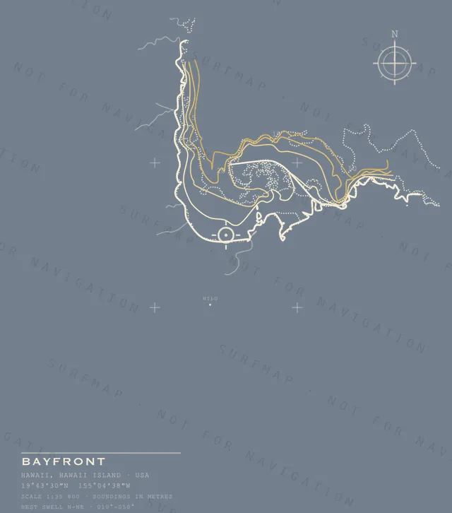 Bayfront chart, the full artwork printed on the back