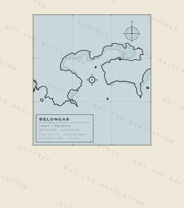 Belongas chart, the full artwork printed on the back