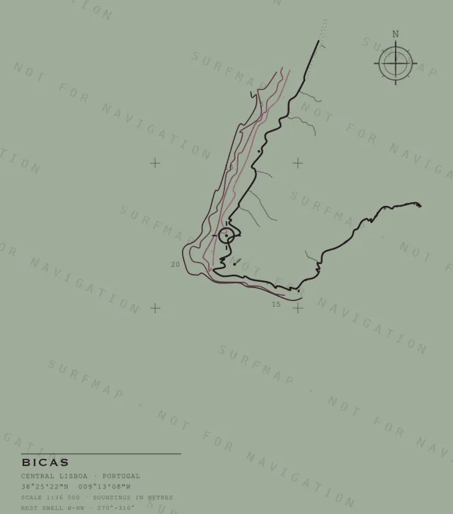 Bicas chart, the full artwork printed on the back