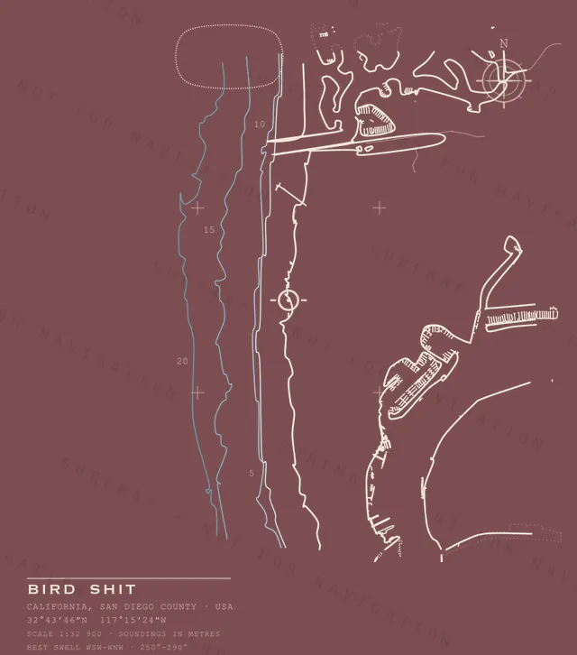 Bird Shit chart, the full artwork printed on the back