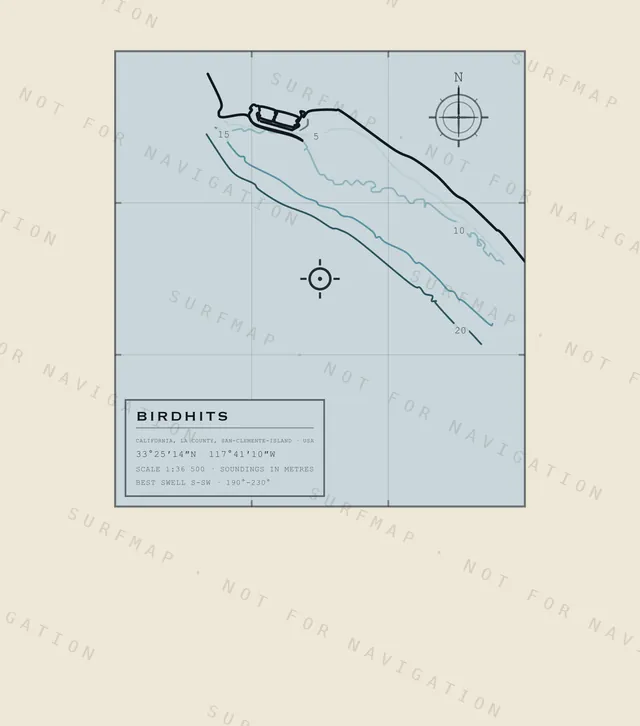 Birdhits chart, the full artwork printed on the back