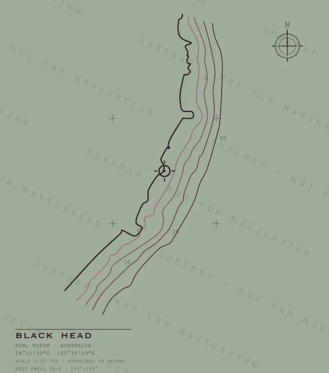 Black Head chart, the full artwork printed on the back