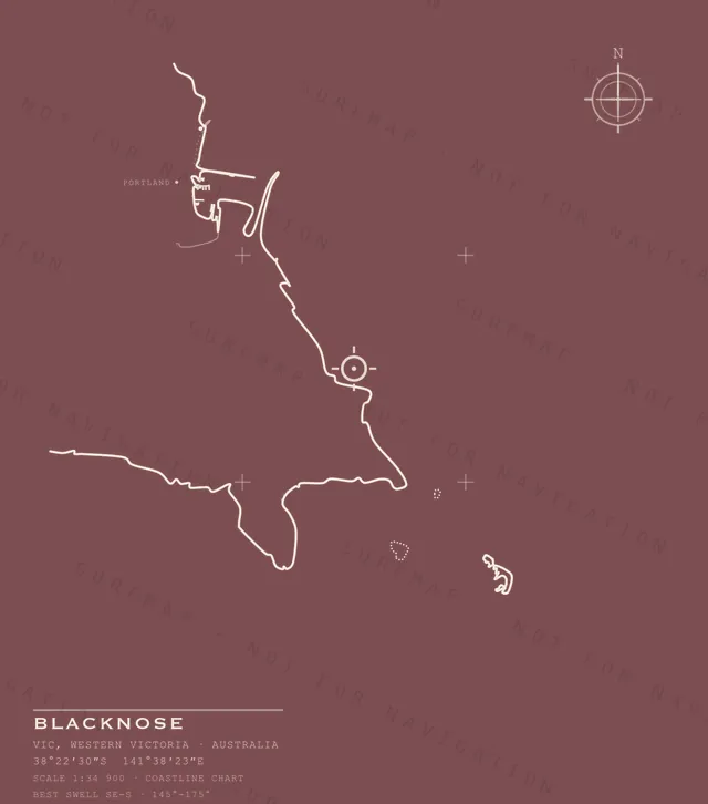 Blacknose chart, the full artwork printed on the back