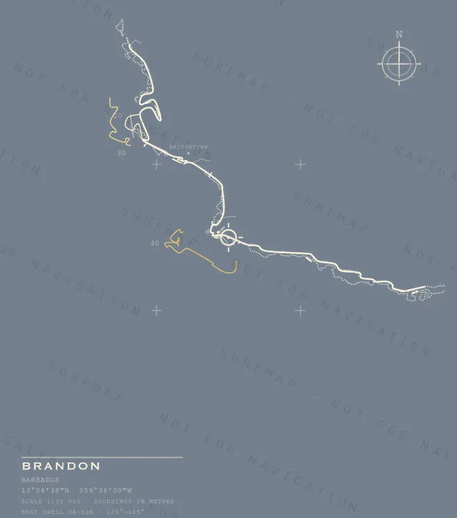 Brandon chart, the full artwork printed on the back