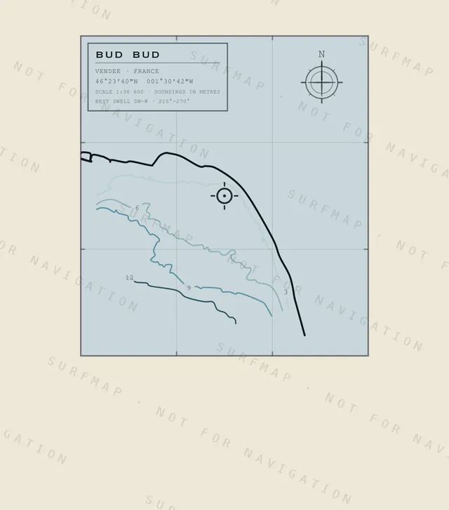 Bud Bud chart, the full artwork printed on the back