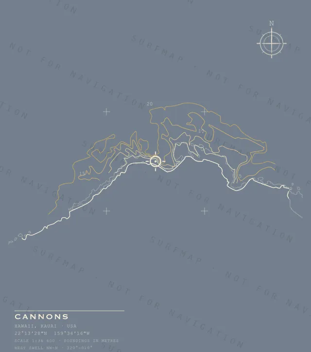 Cannons chart, the full artwork printed on the back