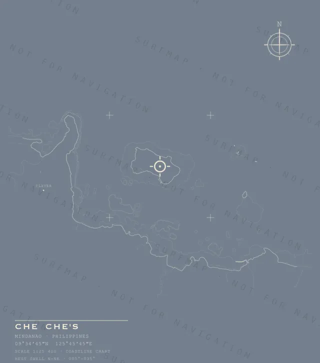 Che Che's chart, the full artwork printed on the back