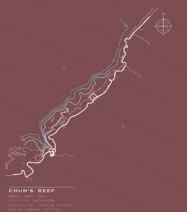 Chun's Reef chart, the full artwork printed on the back