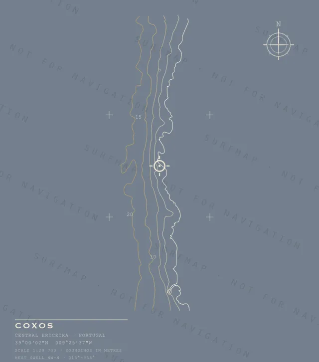 Coxos chart, the full artwork printed on the back