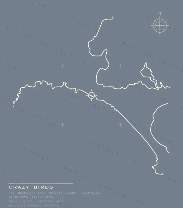 Crazy Birds chart, the full artwork printed on the back