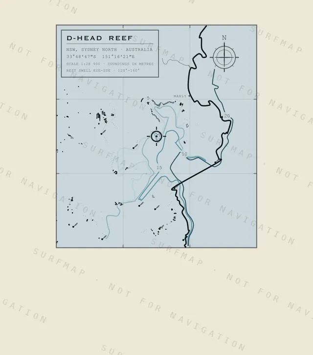 D-Head Reef chart, the full artwork printed on the back