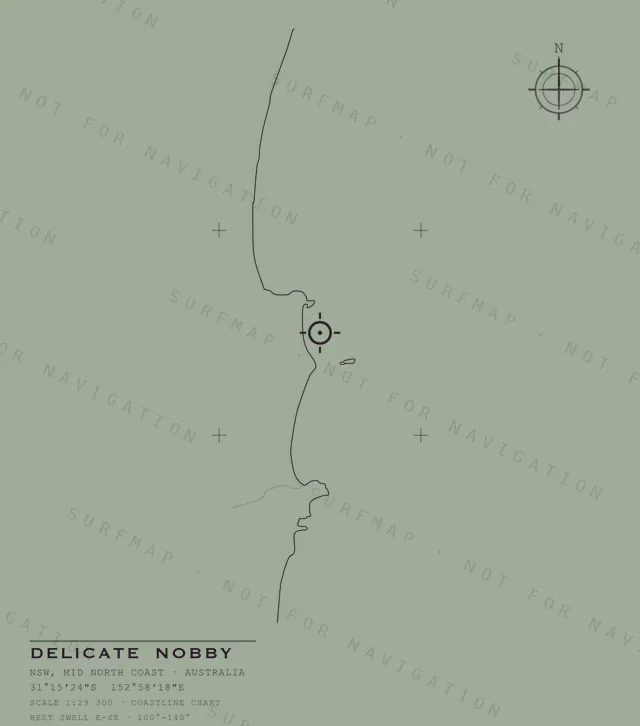 Delicate Nobby chart, the full artwork printed on the back