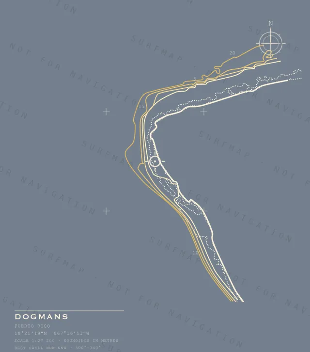 Dogmans chart, the full artwork printed on the back